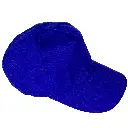 30.webp