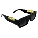 Sun Glasses in Black with Border Frame With 2 Golden Lion Sidewise.webp