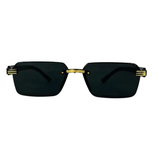 Sunglasses for Men with Borderless Frame With Lion Mark Design Both Side